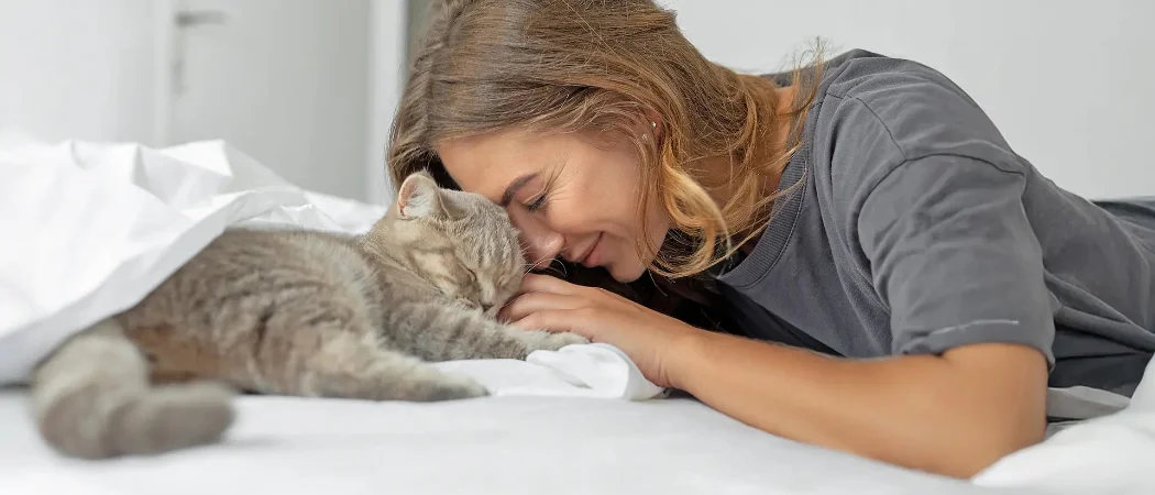 Katze
