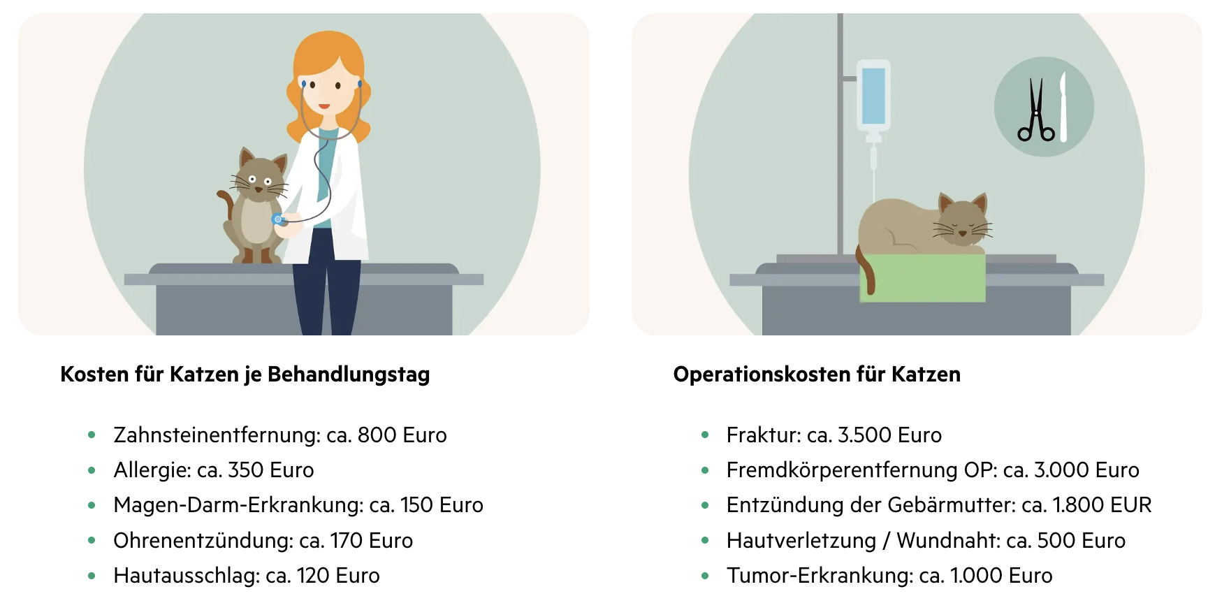 Behandlungs- und Operationskosten für Katzen